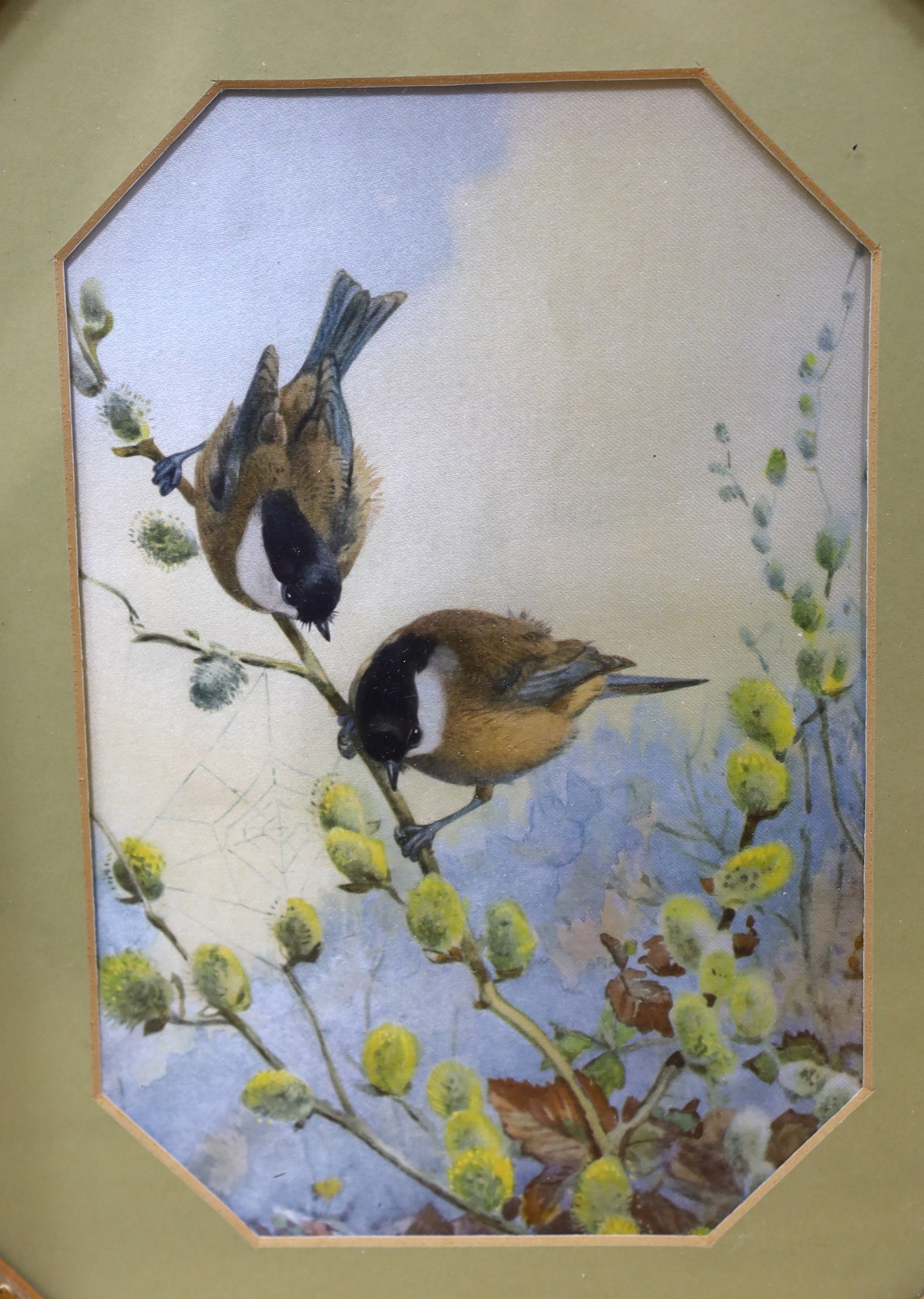 Five Chinese Canton gouache mulberry leaf paintings, framed as three, together with a watercolour painting on silk of birds on a branch, largest 17 x 35cm